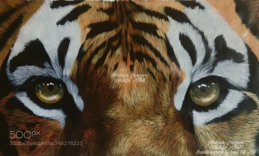 Xiaomi Redmi Note 4 sample photo. Eye of the tiger photography
