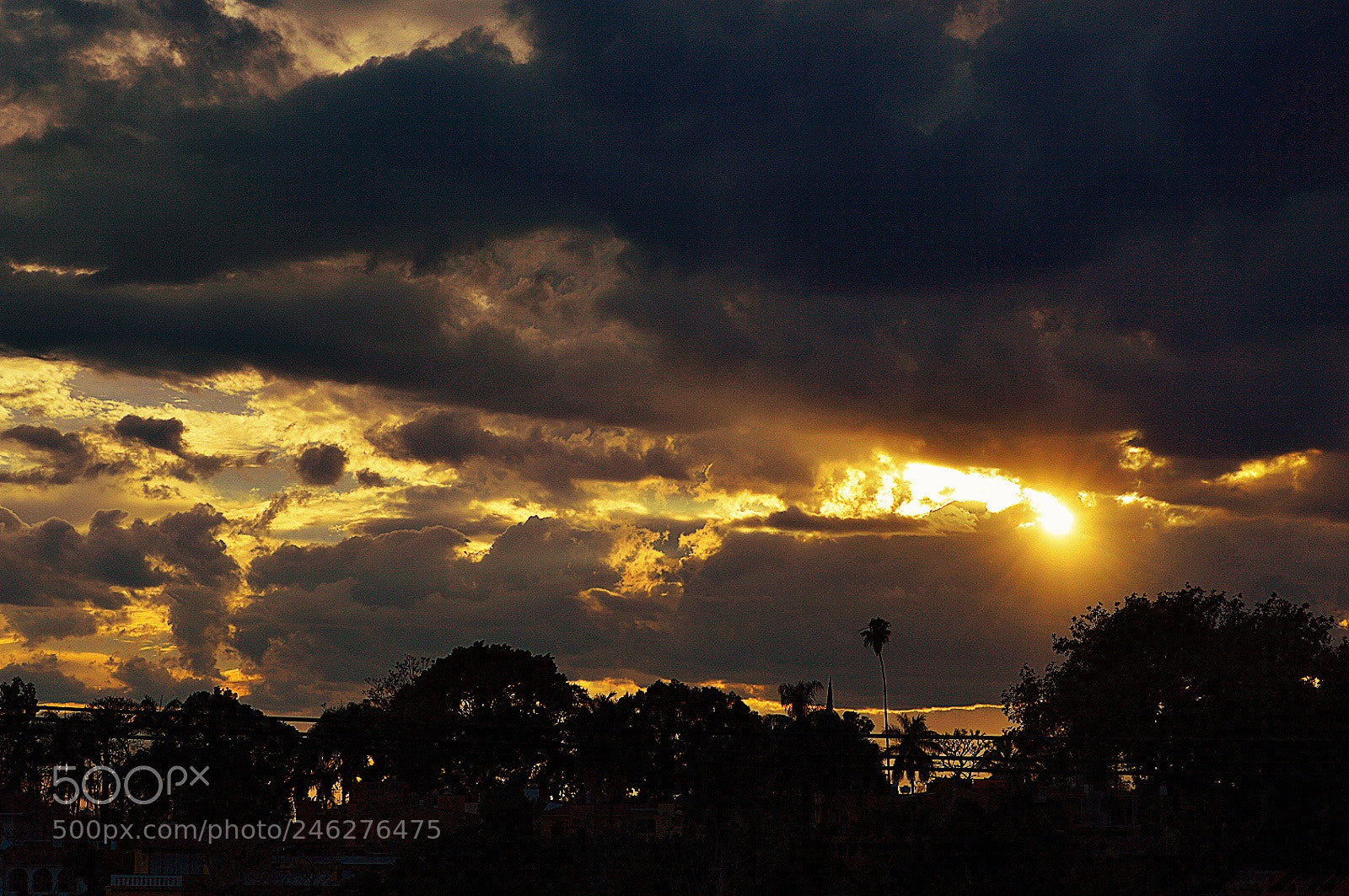 Nikon D3200 sample photo. Untitled photography