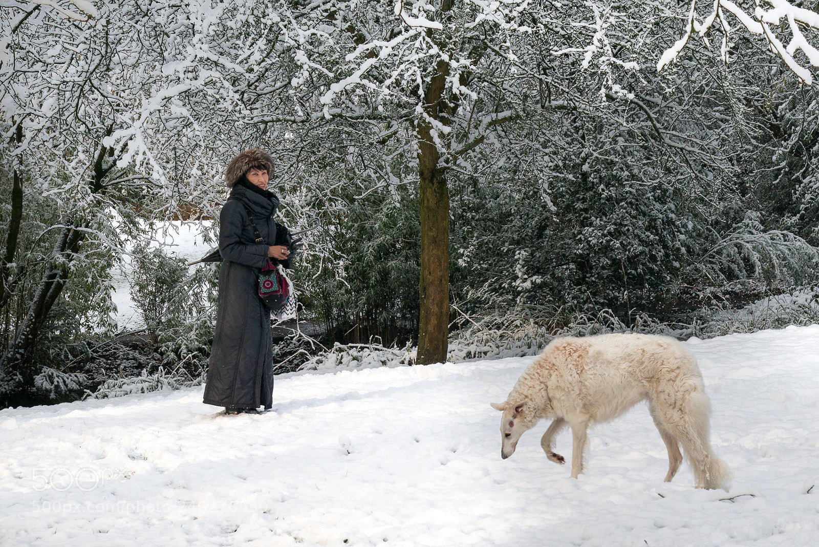 Nikon D800 sample photo. Rencontre insolite dans le photography