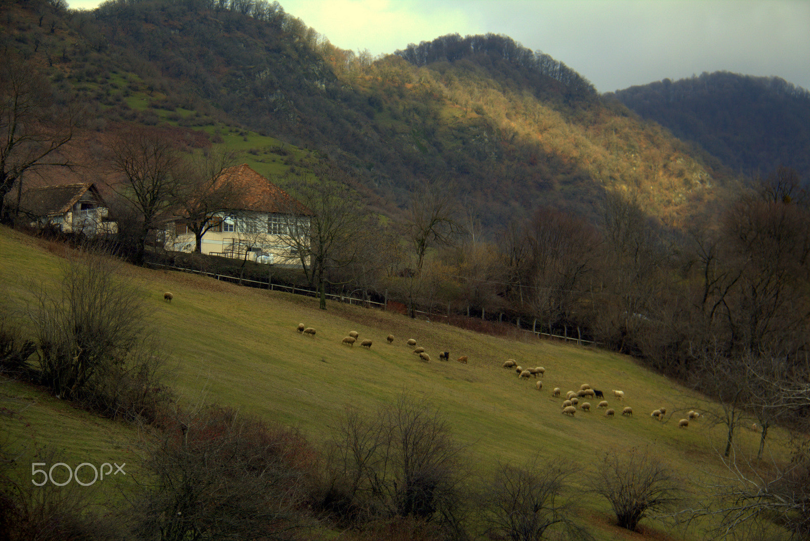 Canon EF-S 18-200mm F3.5-5.6 IS sample photo. A rural idyll. photography