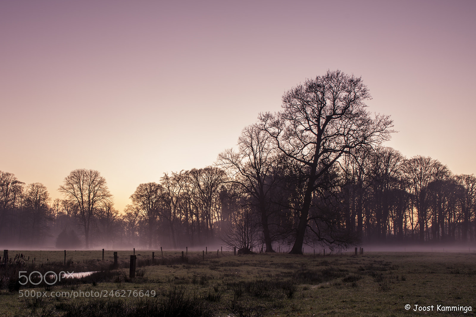 Nikon D7200 sample photo. Misty sunset photography
