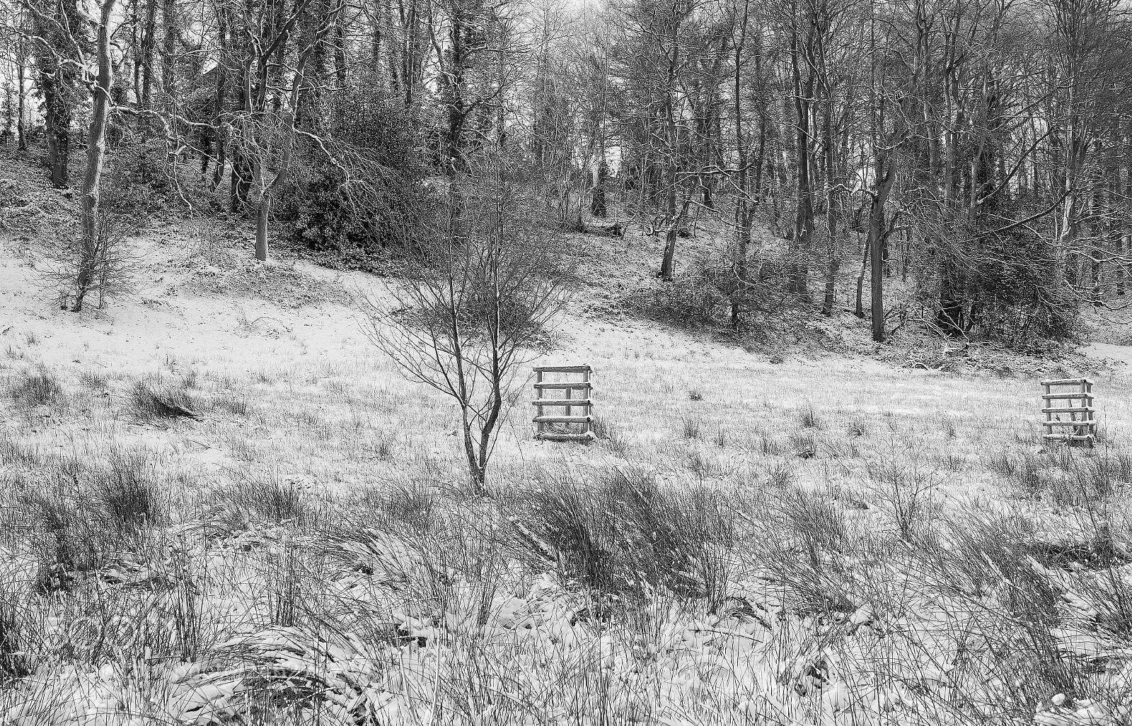 Sony Cyber-shot DSC-RX1 sample photo. Winter in derbyshire photography