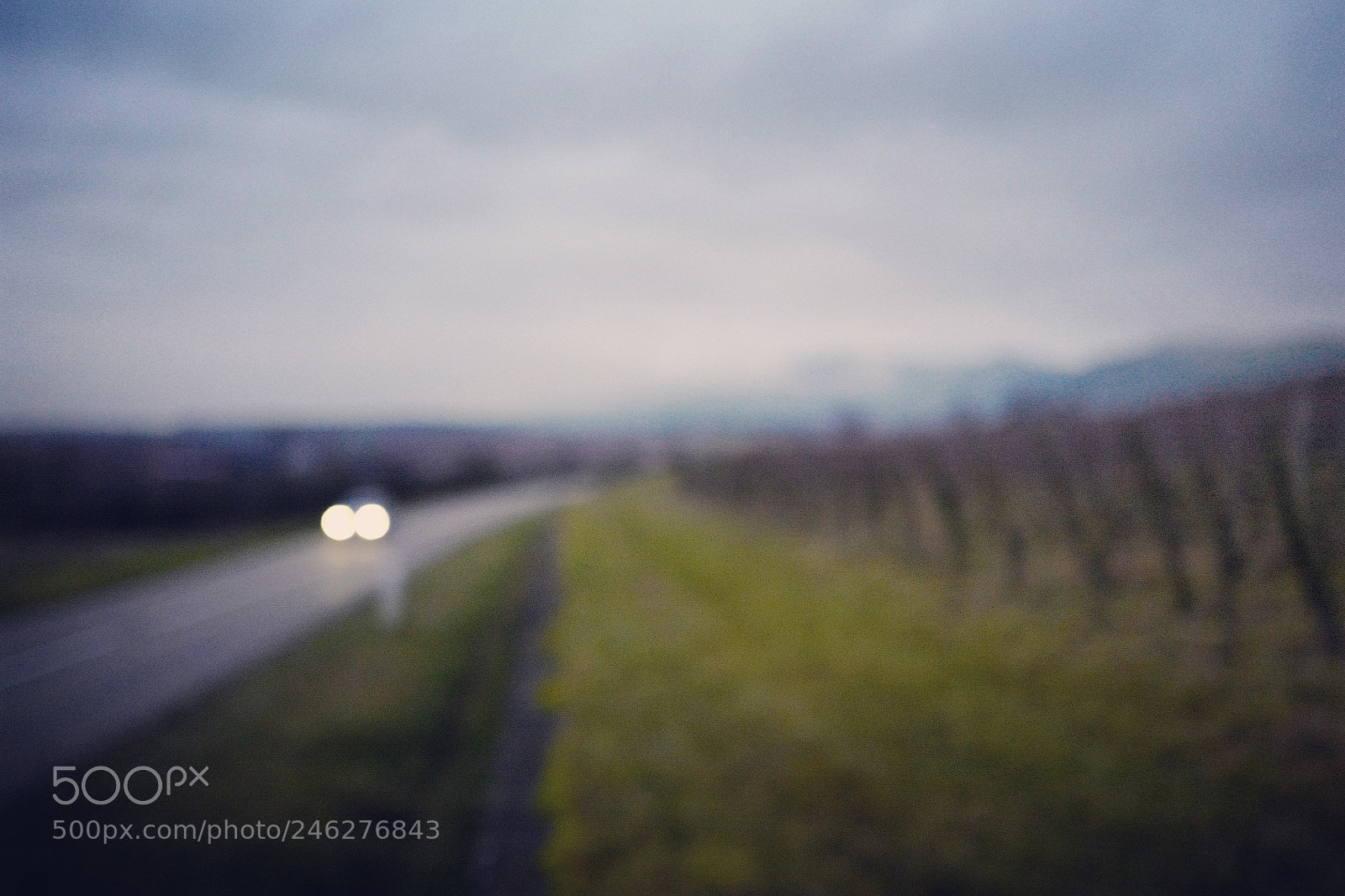 Leica Q (Typ 116) sample photo. Untitled photography