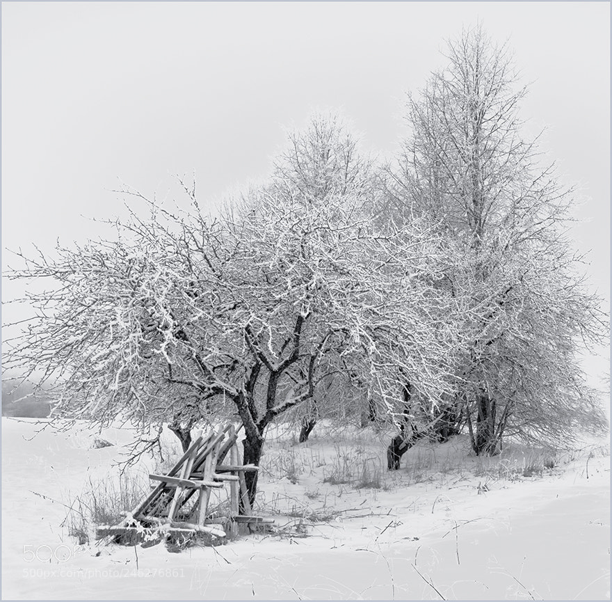 Pentax K-5 II sample photo. Winter composition photography