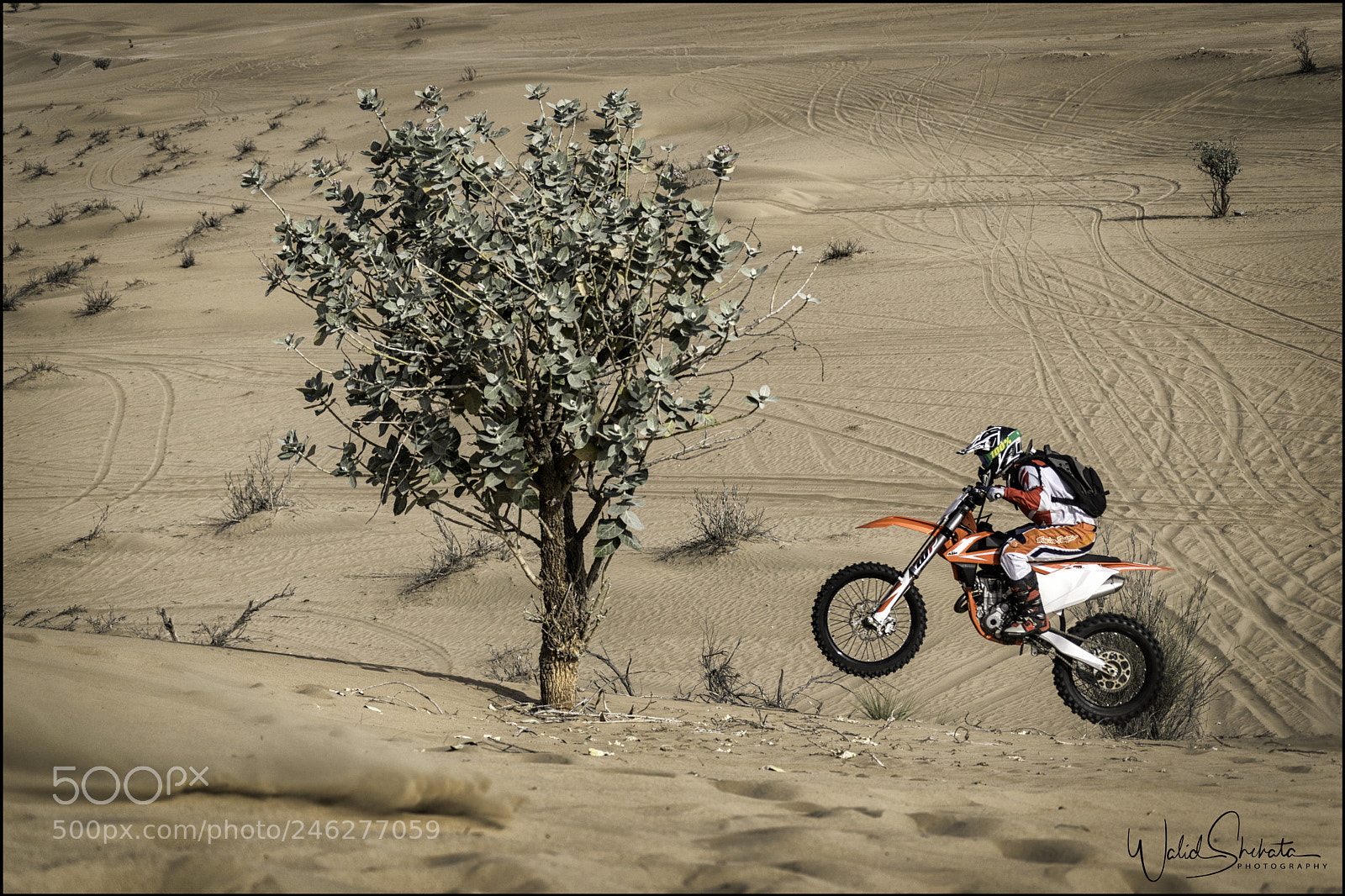 Nikon D5500 sample photo. Desert dirt bike photography