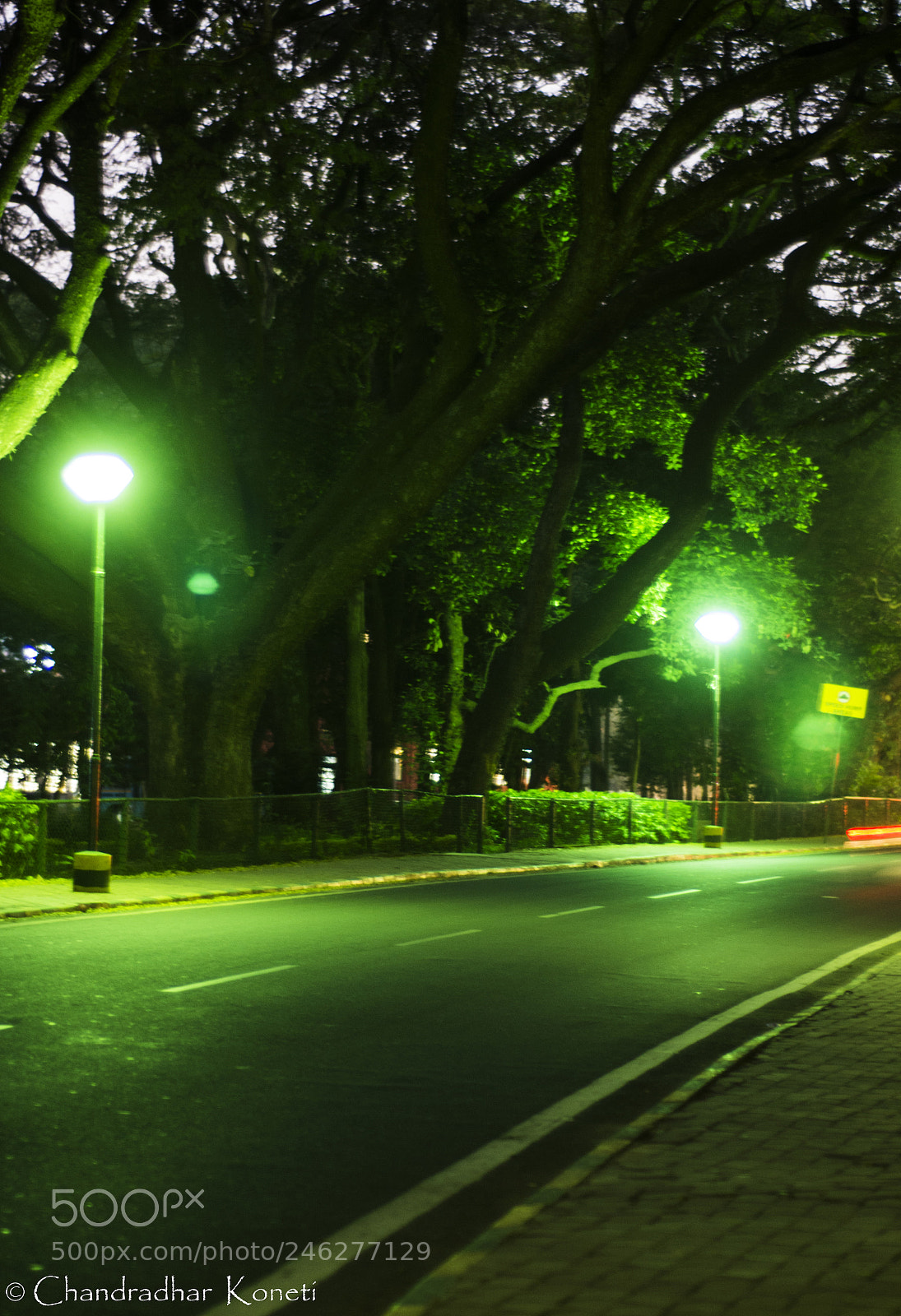 Nikon D7100 sample photo. Ckp photography