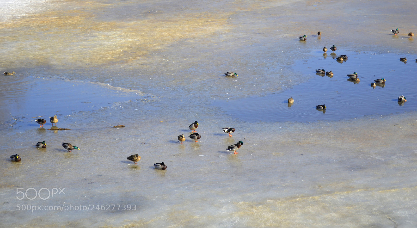 Nikon D3100 sample photo. The lake photography