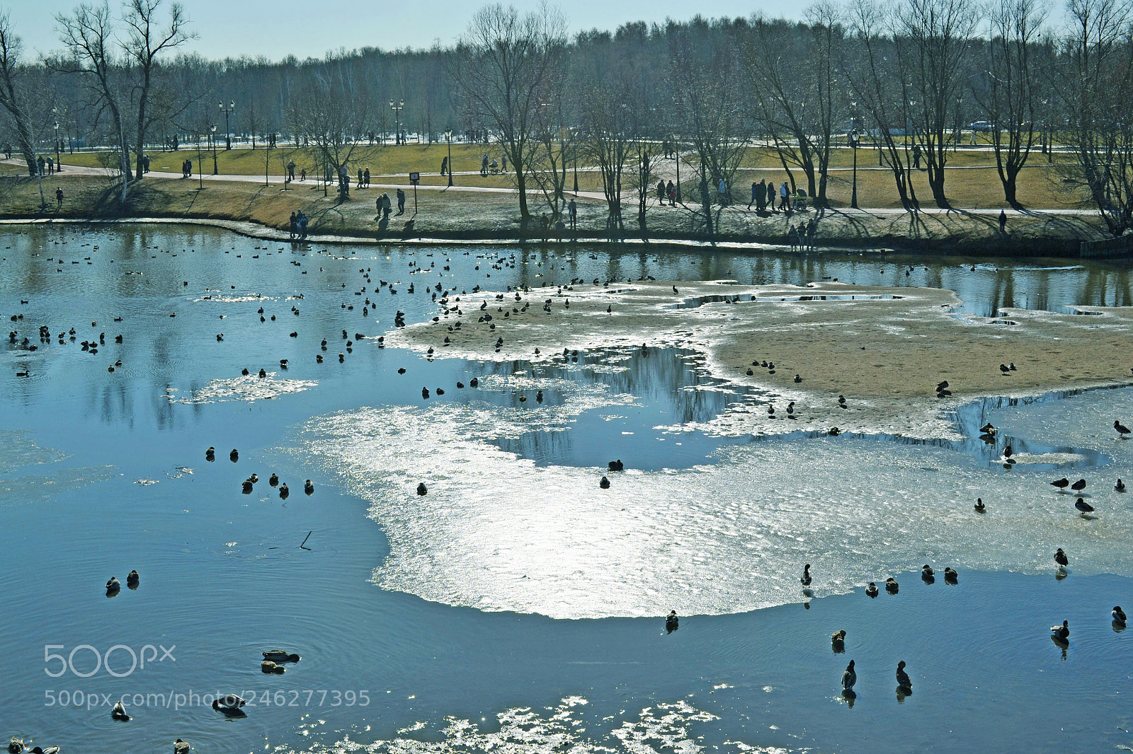 Nikon D3100 sample photo. The lake photography