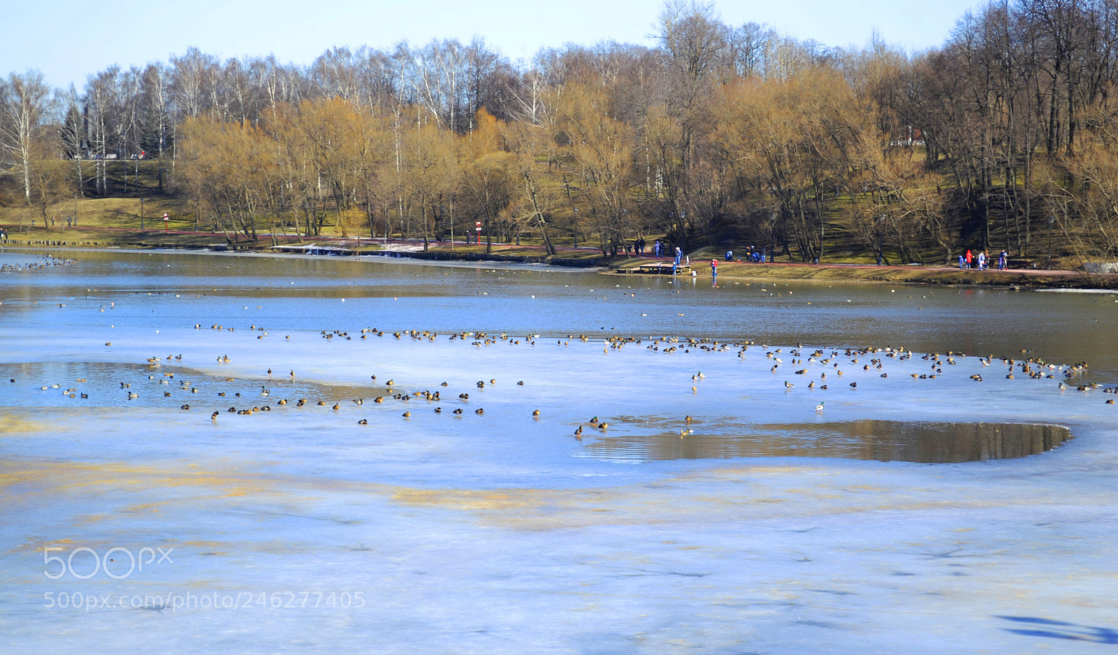 Nikon D3100 sample photo. The lake photography