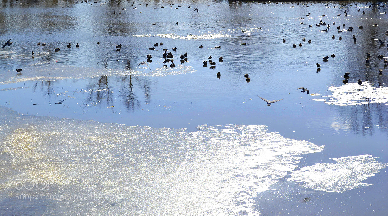 Nikon D3100 sample photo. The lake photography