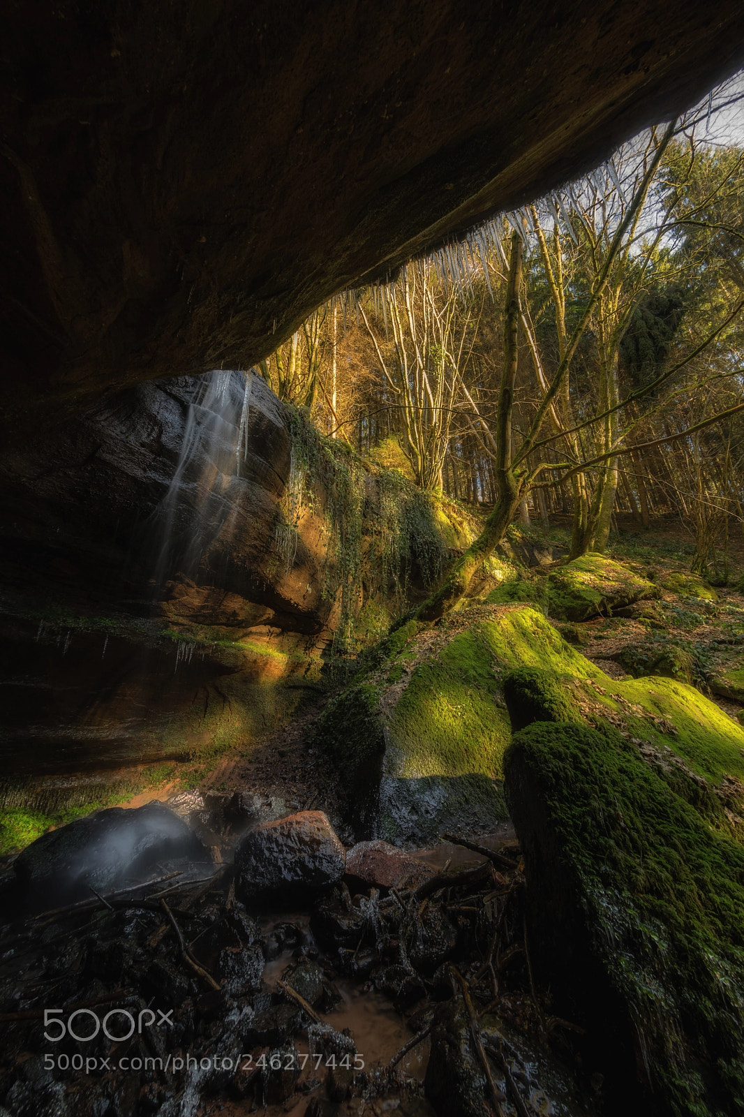 Sony a7 sample photo. Sunny morning at "saufelsen"... photography