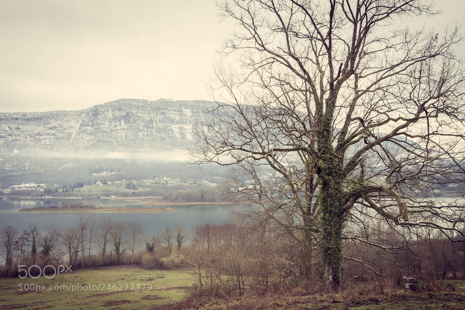 Canon EOS 650D (EOS Rebel T4i / EOS Kiss X6i) sample photo. Lac d'aiguebelette en hiver photography