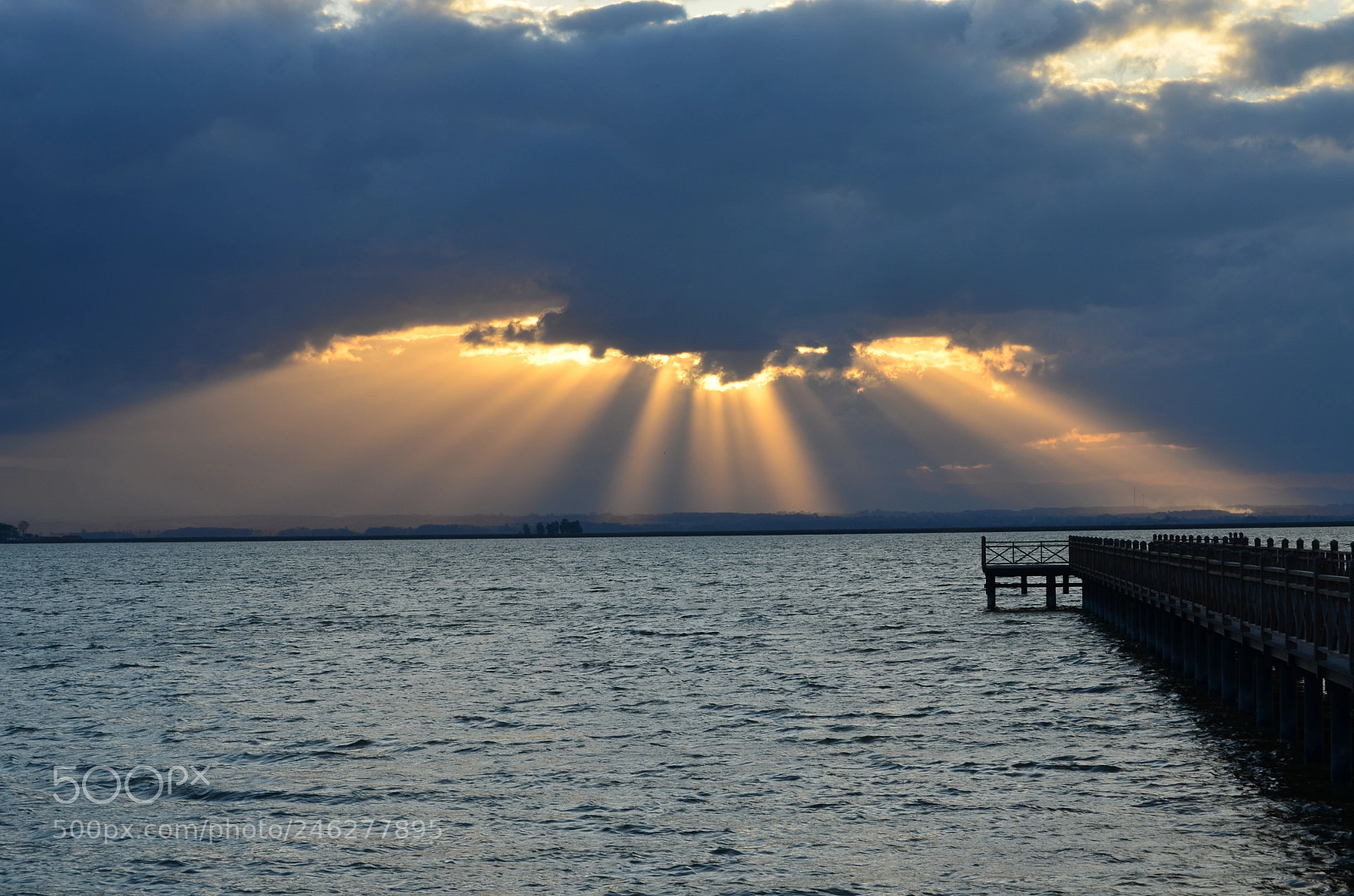 Nikon D5100 sample photo. Delta photography