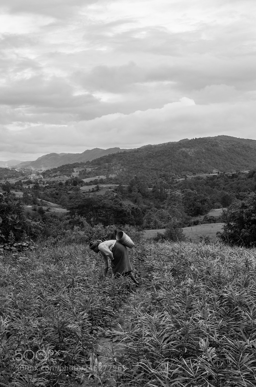 Pentax K-30 sample photo. Fields in kalaw photography