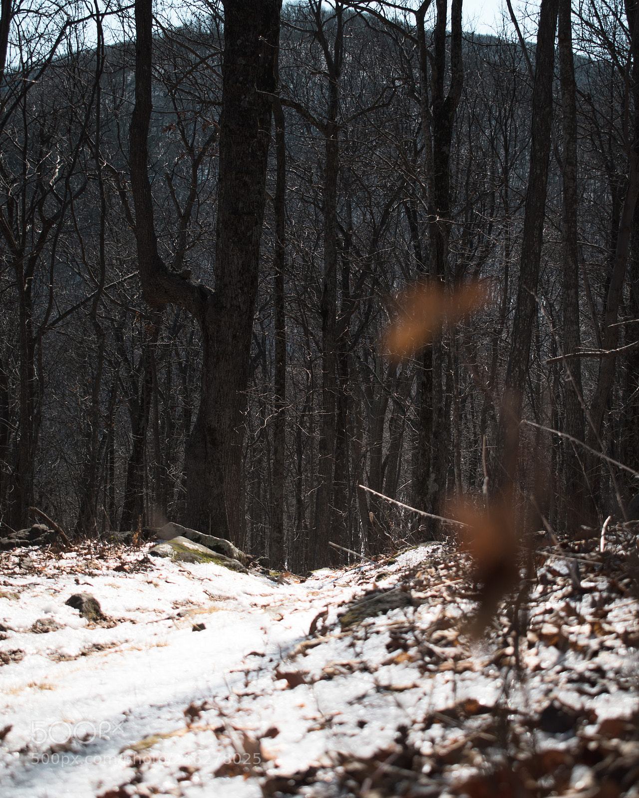 Nikon D5600 sample photo. Winding through the ice photography