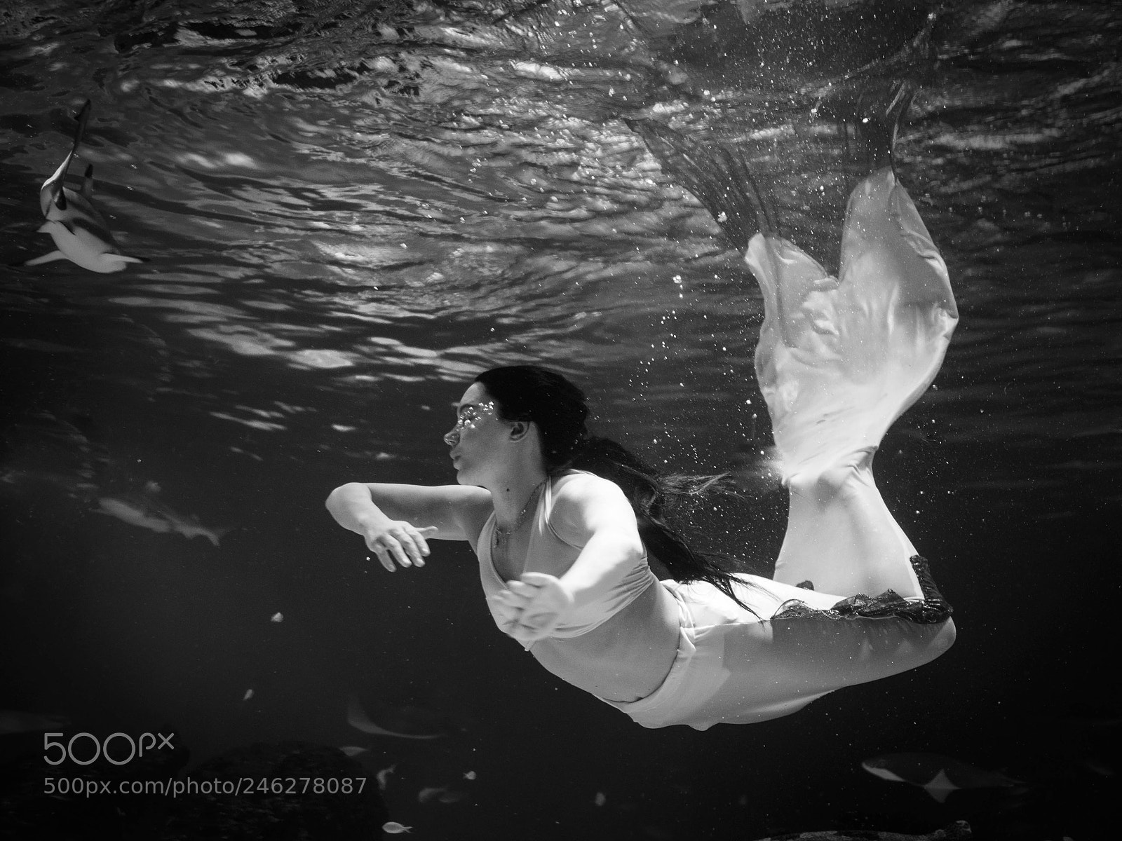 Nikon D800 sample photo. The mermaid photography