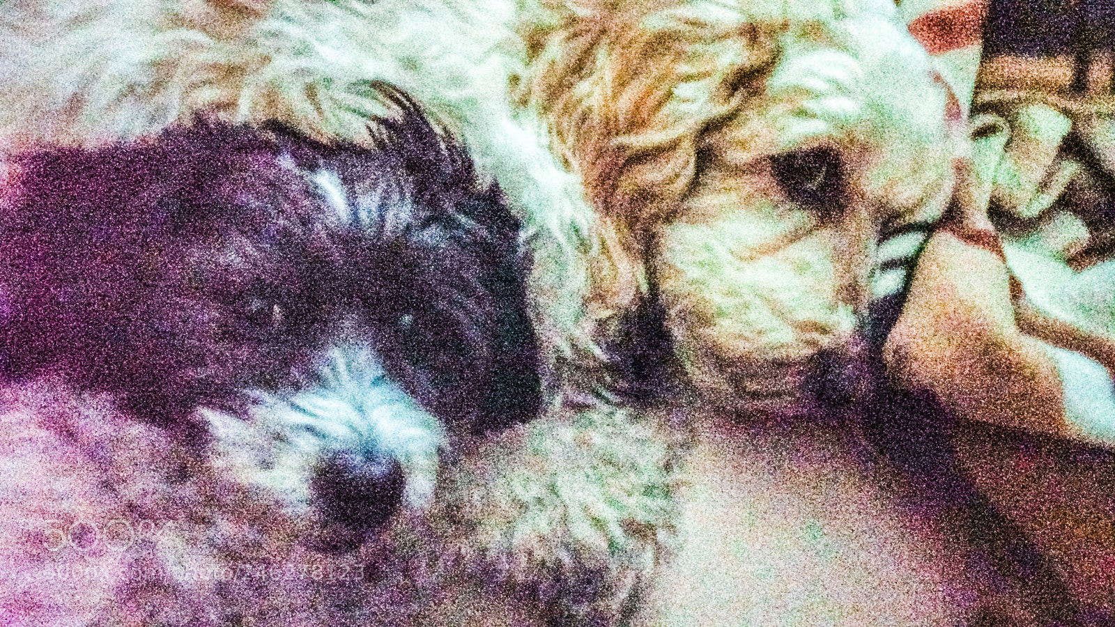 Xiaomi MI 5 sample photo. Friends photography