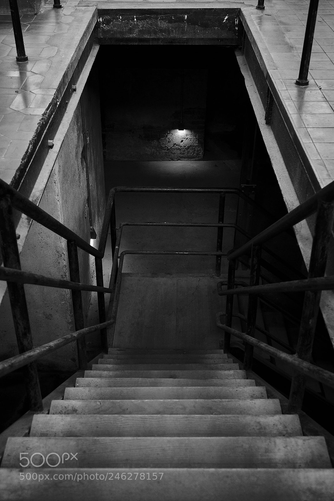 Sony a7R II sample photo. Way down photography