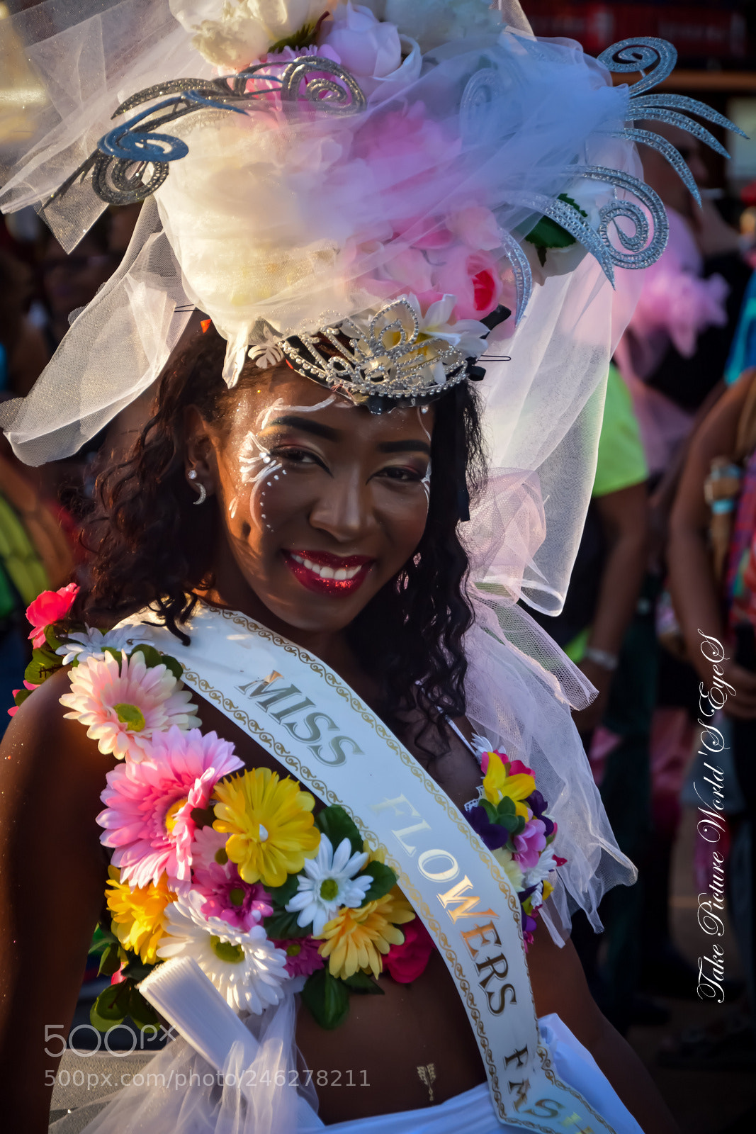 Nikon D7100 sample photo. Carnaval fort de france photography