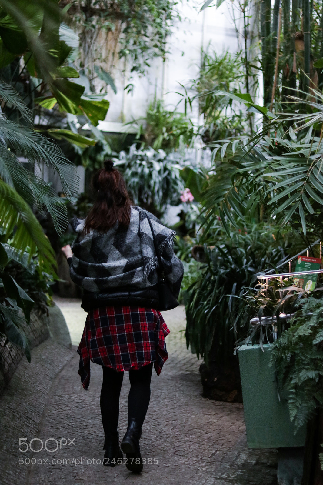 Canon EOS 750D (EOS Rebel T6i / EOS Kiss X8i) sample photo. A girl walks through photography