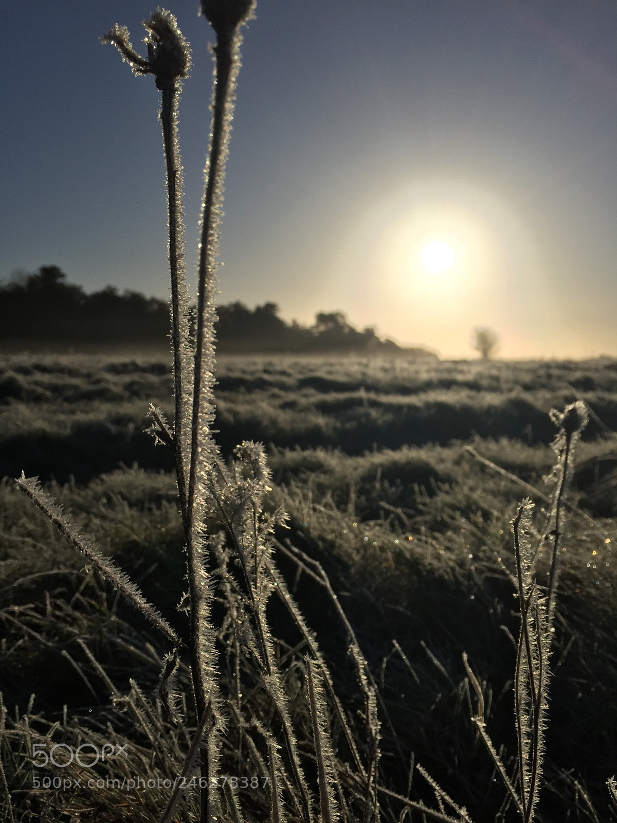 Apple iPhone 6 sample photo. Sunrise on salisbury plain photography