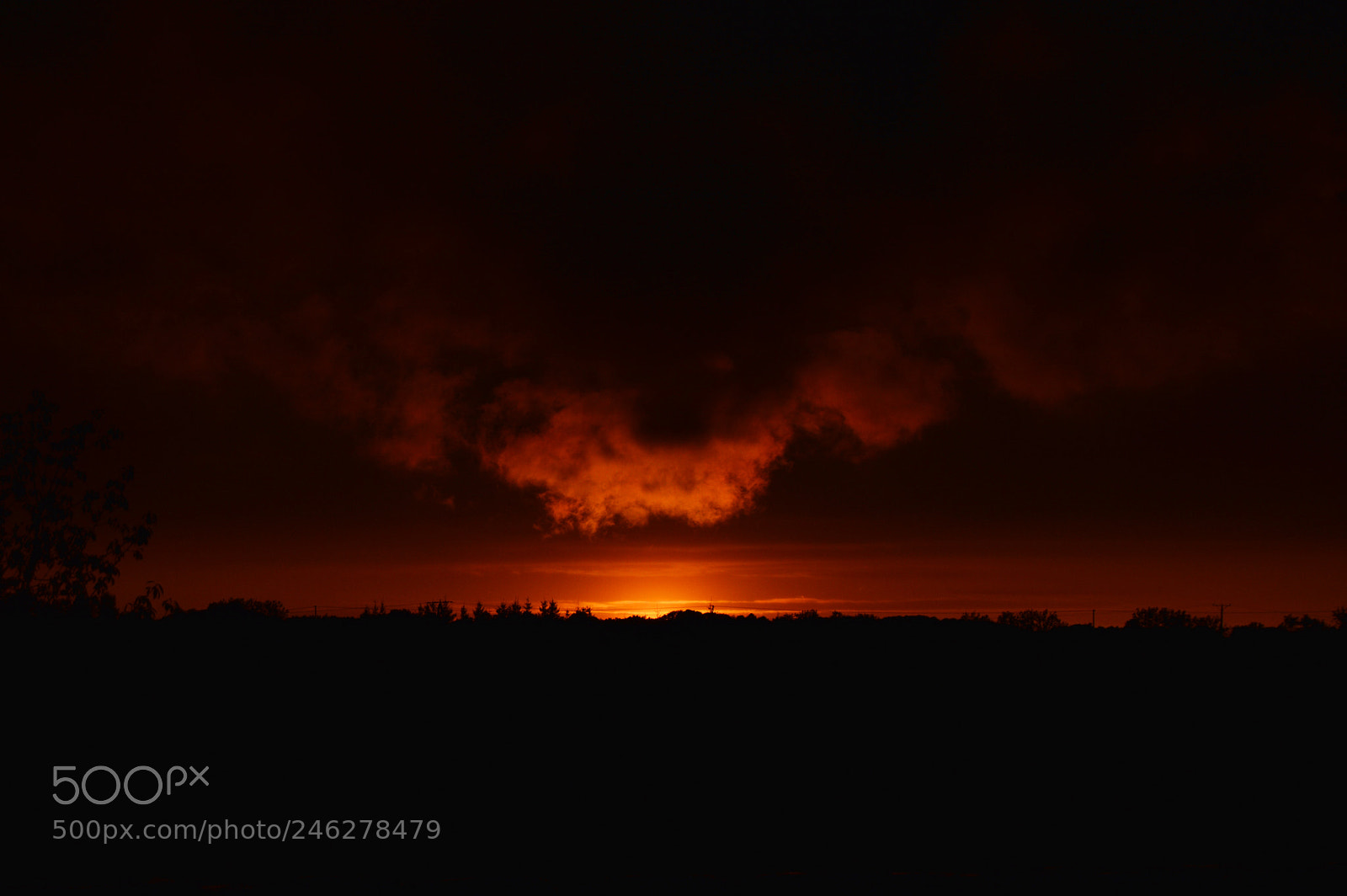 Nikon D3200 sample photo. Brautiful sunset photography