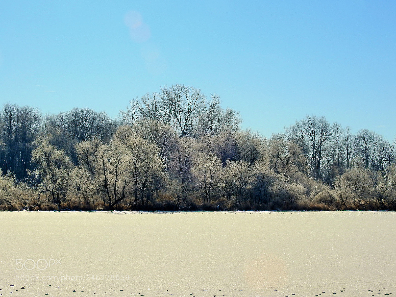 Nikon Coolpix P900 sample photo. A frigid winter day photography