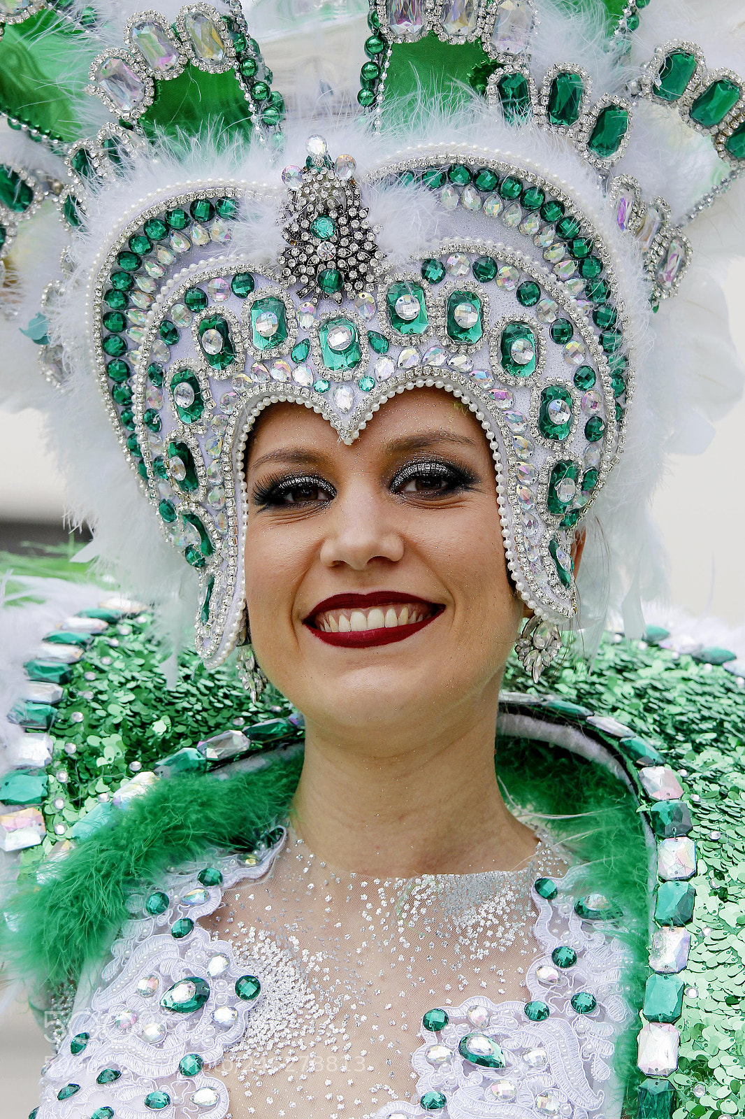 Canon EOS 700D (EOS Rebel T5i / EOS Kiss X7i) sample photo. Carnival of mealhada photography