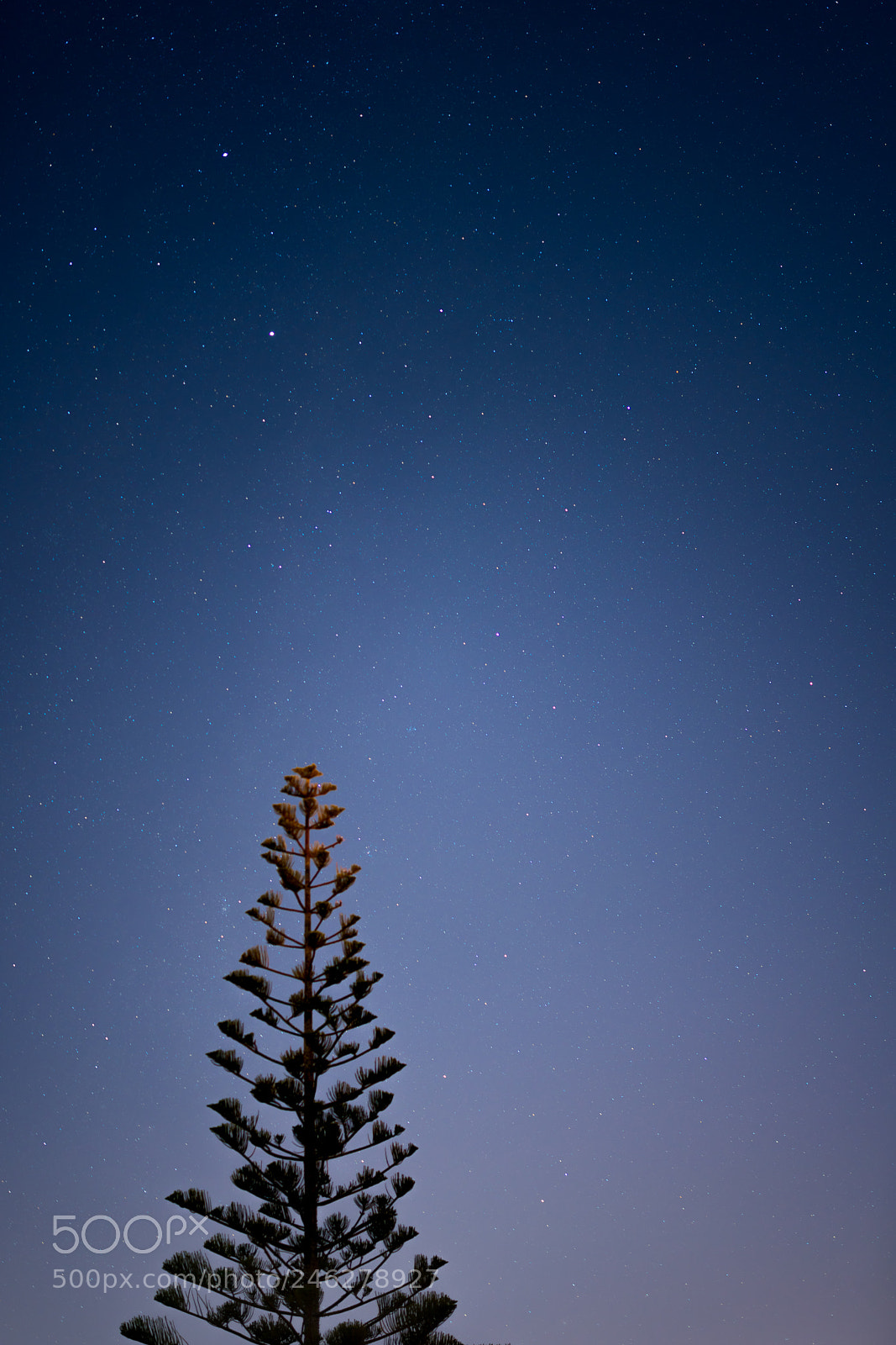 Sony a7R III sample photo. Starry sky on chinese photography