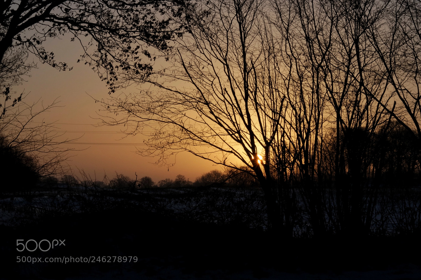 Canon EOS 760D (EOS Rebel T6s / EOS 8000D) sample photo. Sunrise in northern germany photography