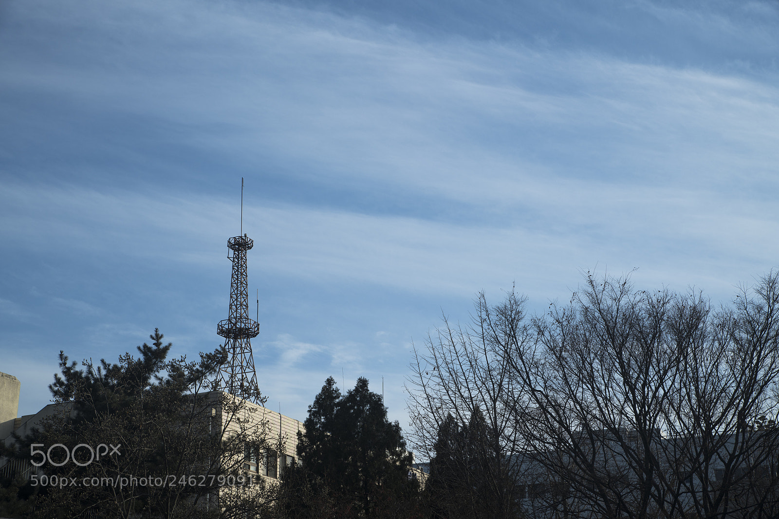 Nikon D850 sample photo. Untitled photography