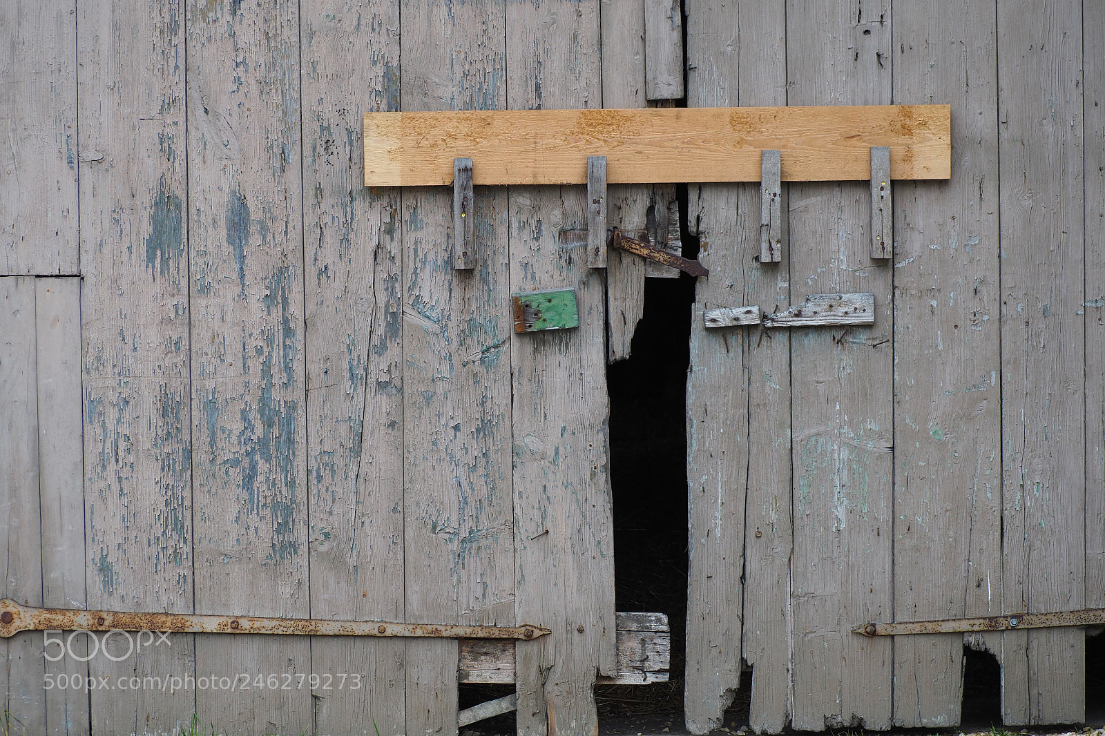 Olympus OM-D E-M5 II sample photo. Ried barn door photography