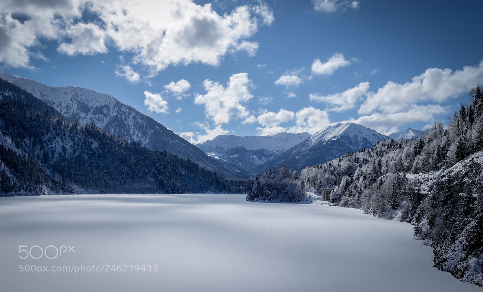 Nikon D5100 sample photo. Winter photography