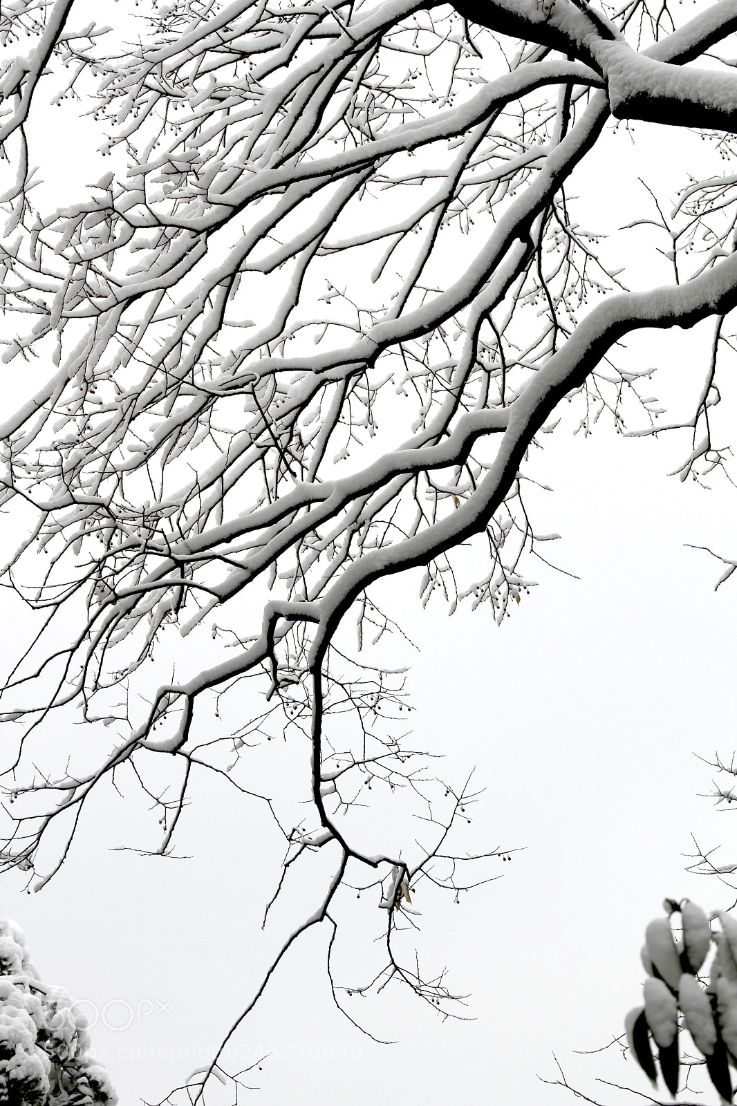 Canon EOS 7D sample photo. Snow scenery in west photography