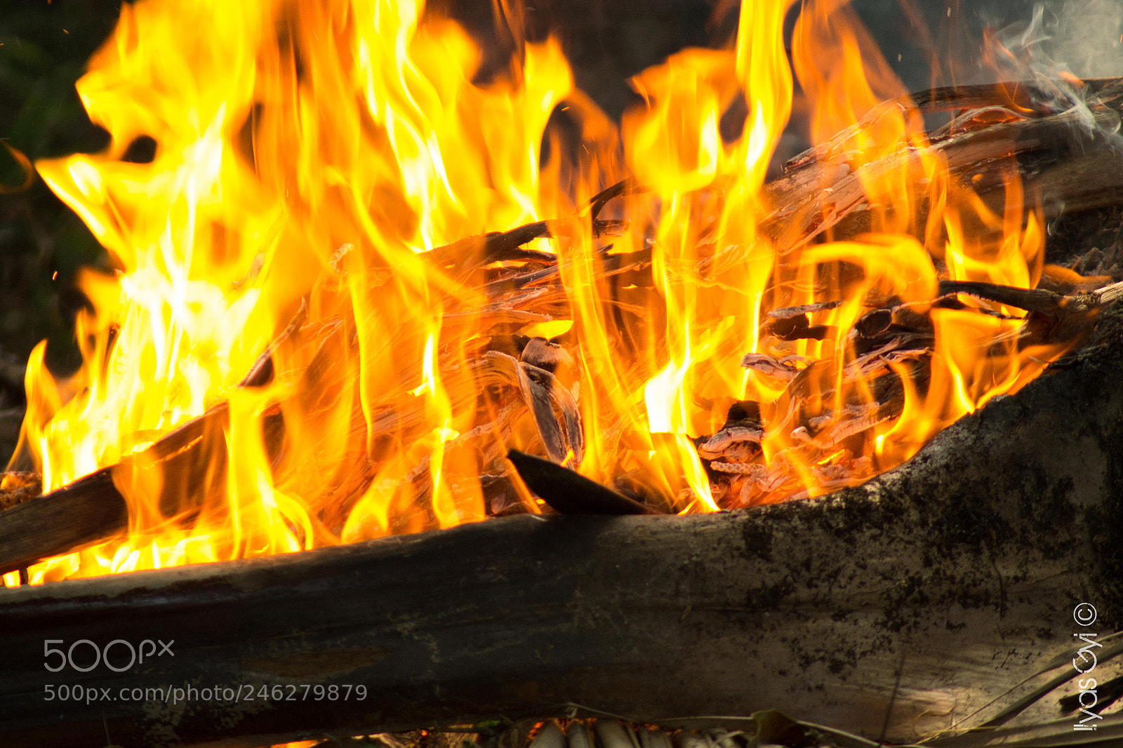 Nikon D3100 sample photo. Flames photography