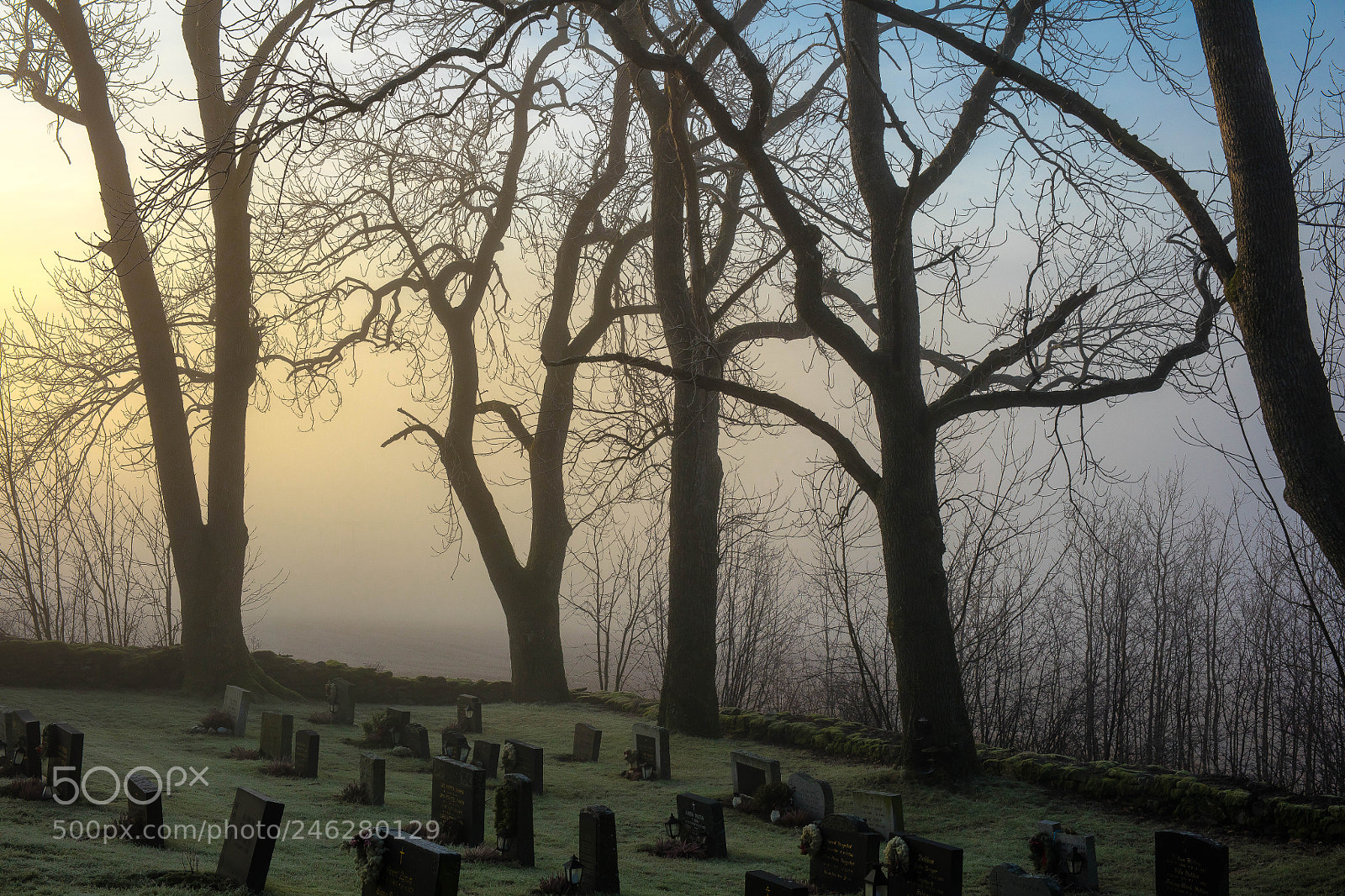 Canon EOS 5DS R sample photo. From the churchyard photography