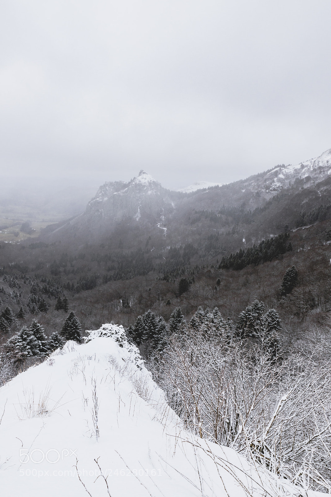 Canon EOS 6D Mark II sample photo. Mont dore photography
