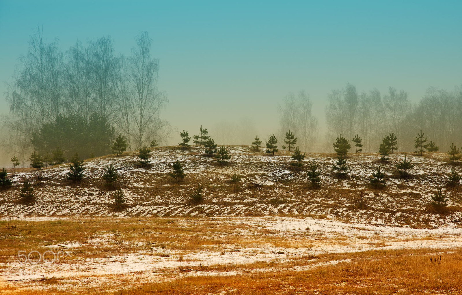 Nikon D7200 sample photo. Foggy morning photography