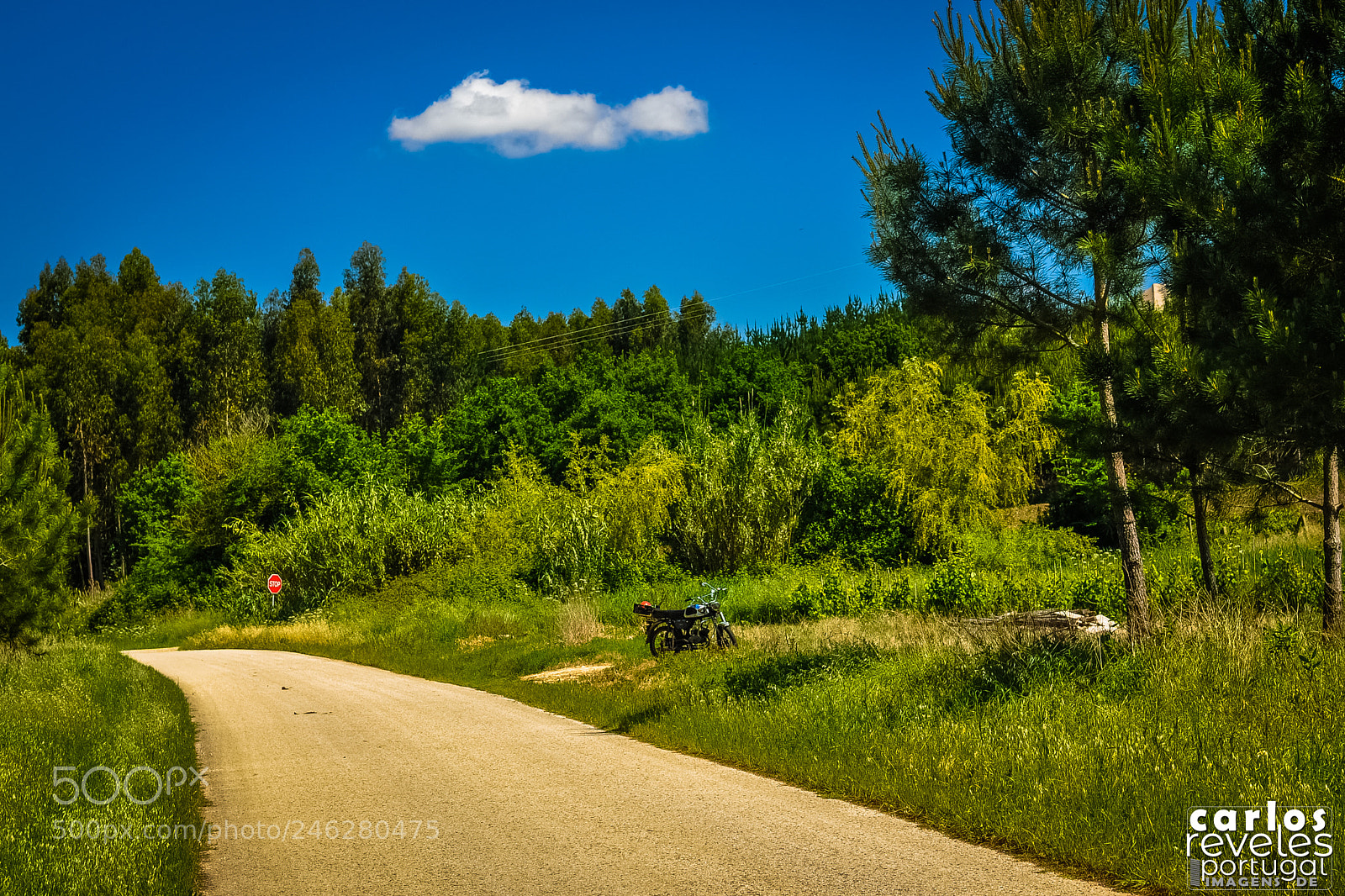 Nikon D5000 sample photo. Pequenas grandes viagens photography