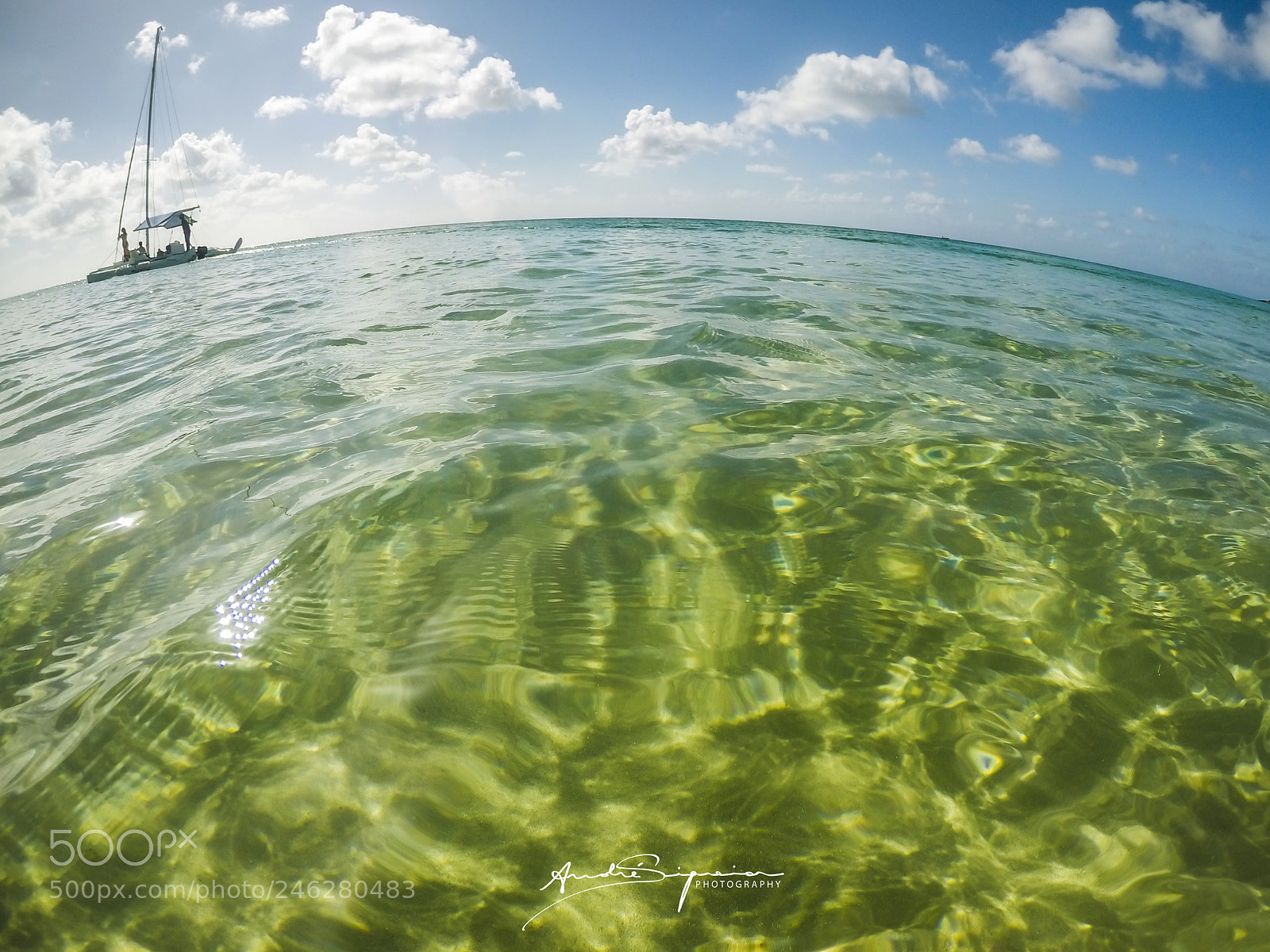GoPro Hero5 Black sample photo. Barco photography