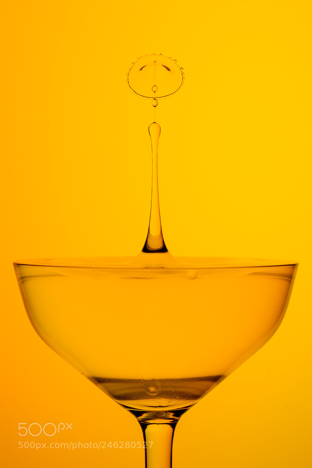 Nikon Df sample photo. Water flower photography