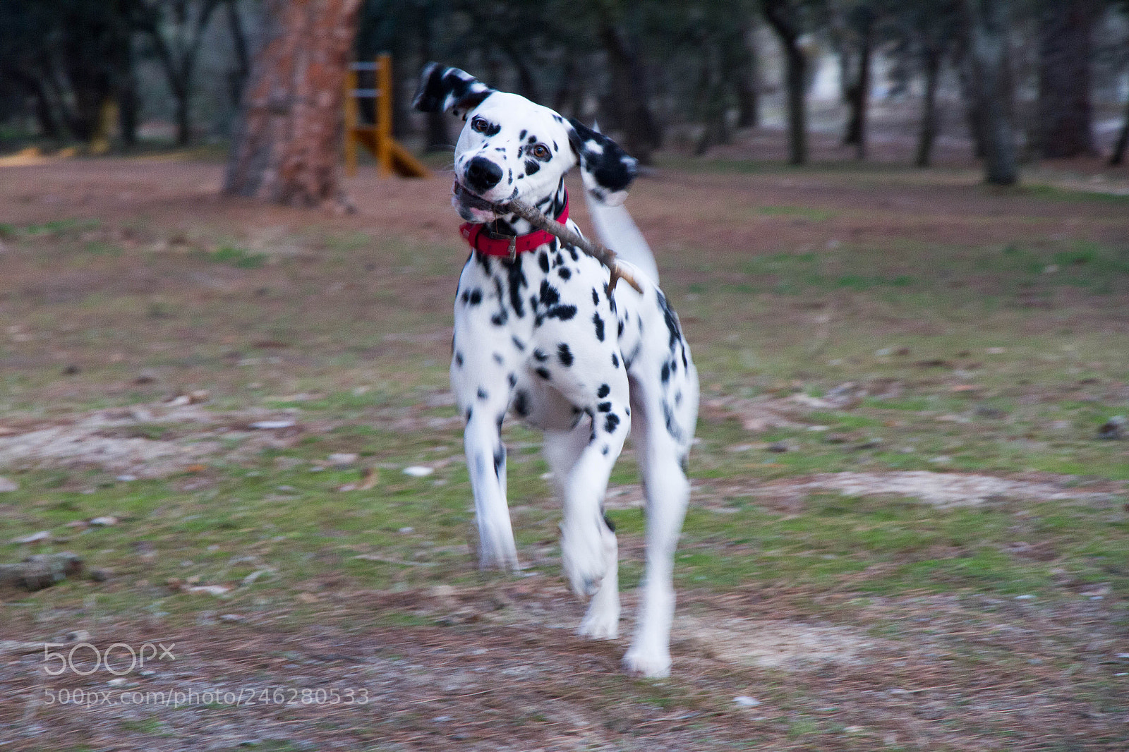 Canon EOS 7D sample photo. Untitled photography