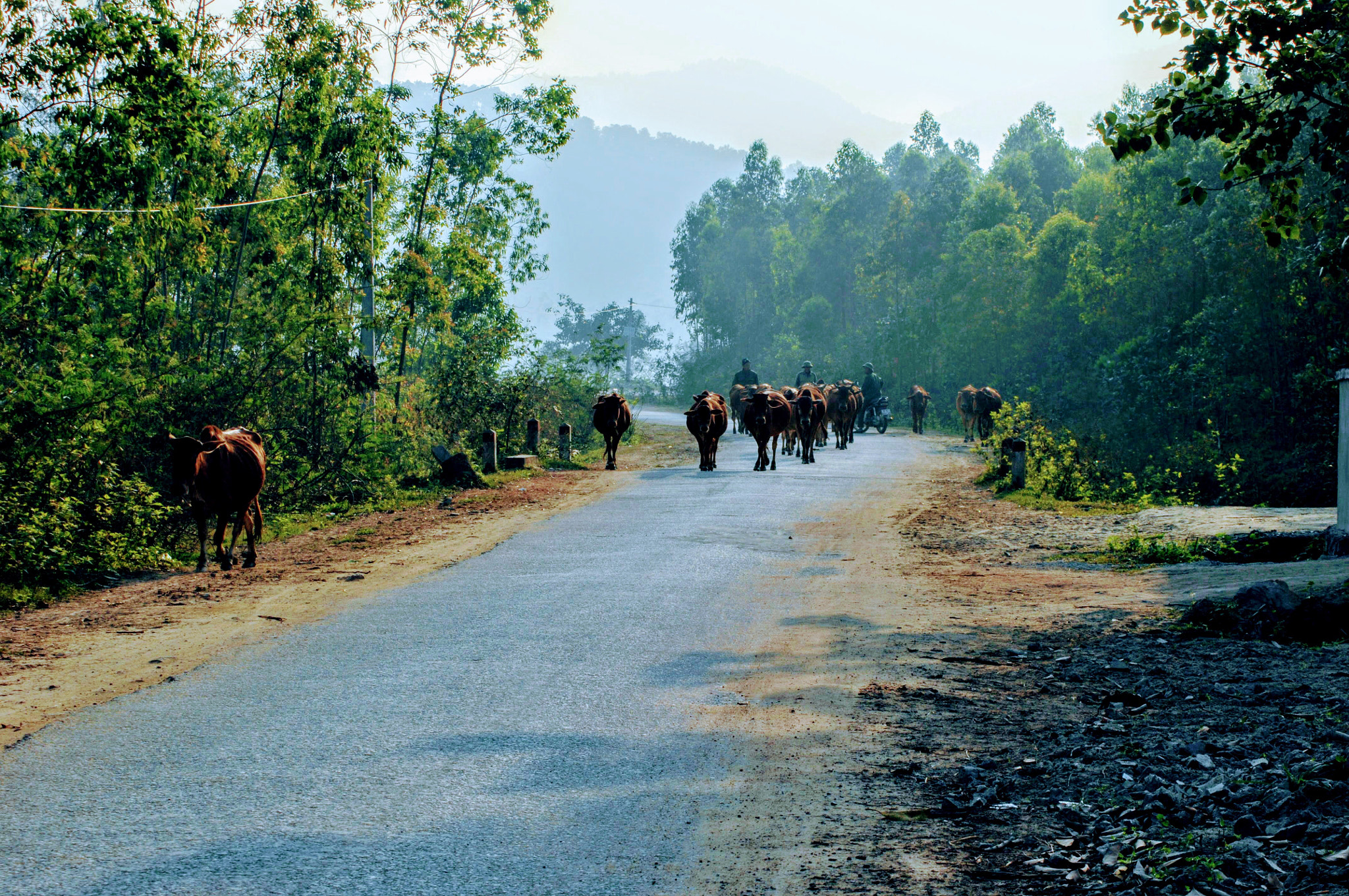 Nikon D2Xs sample photo. Vietnam photography