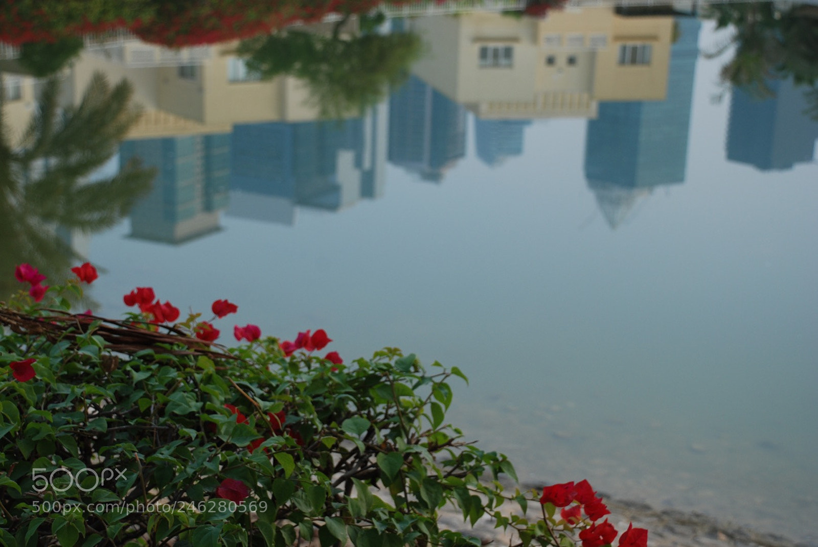 Nikon D80 sample photo. Untitled photography