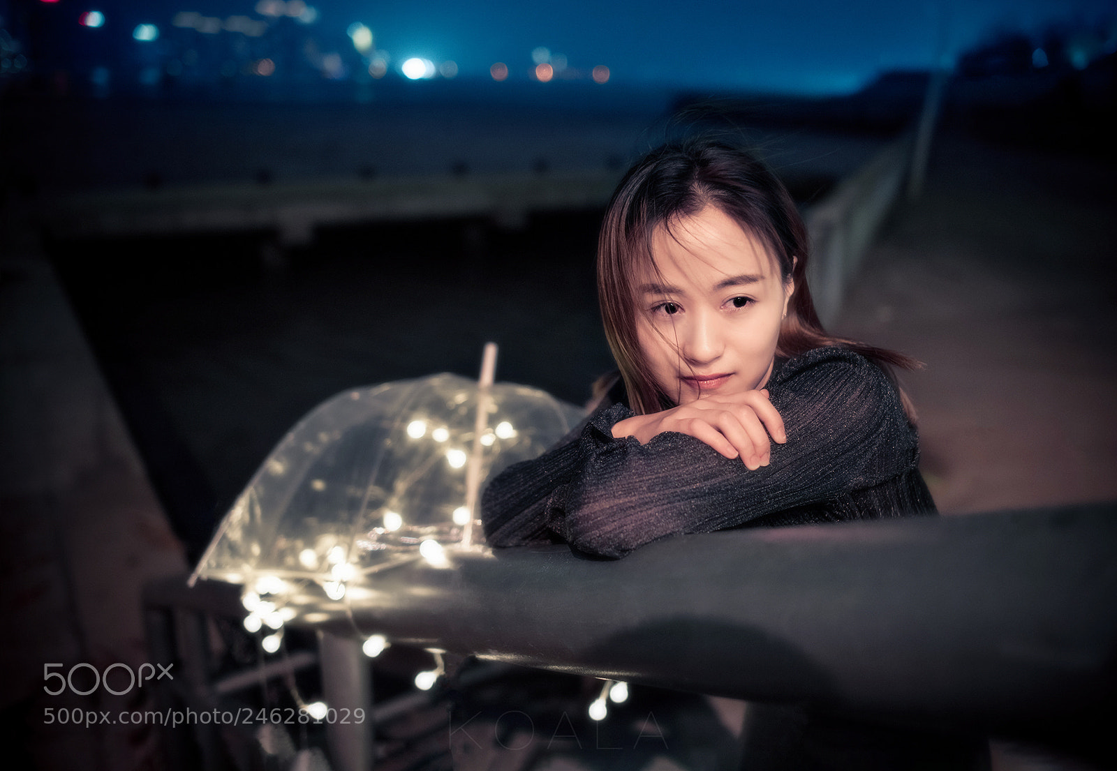 Nikon D810 sample photo. 江边夜景人像 photography