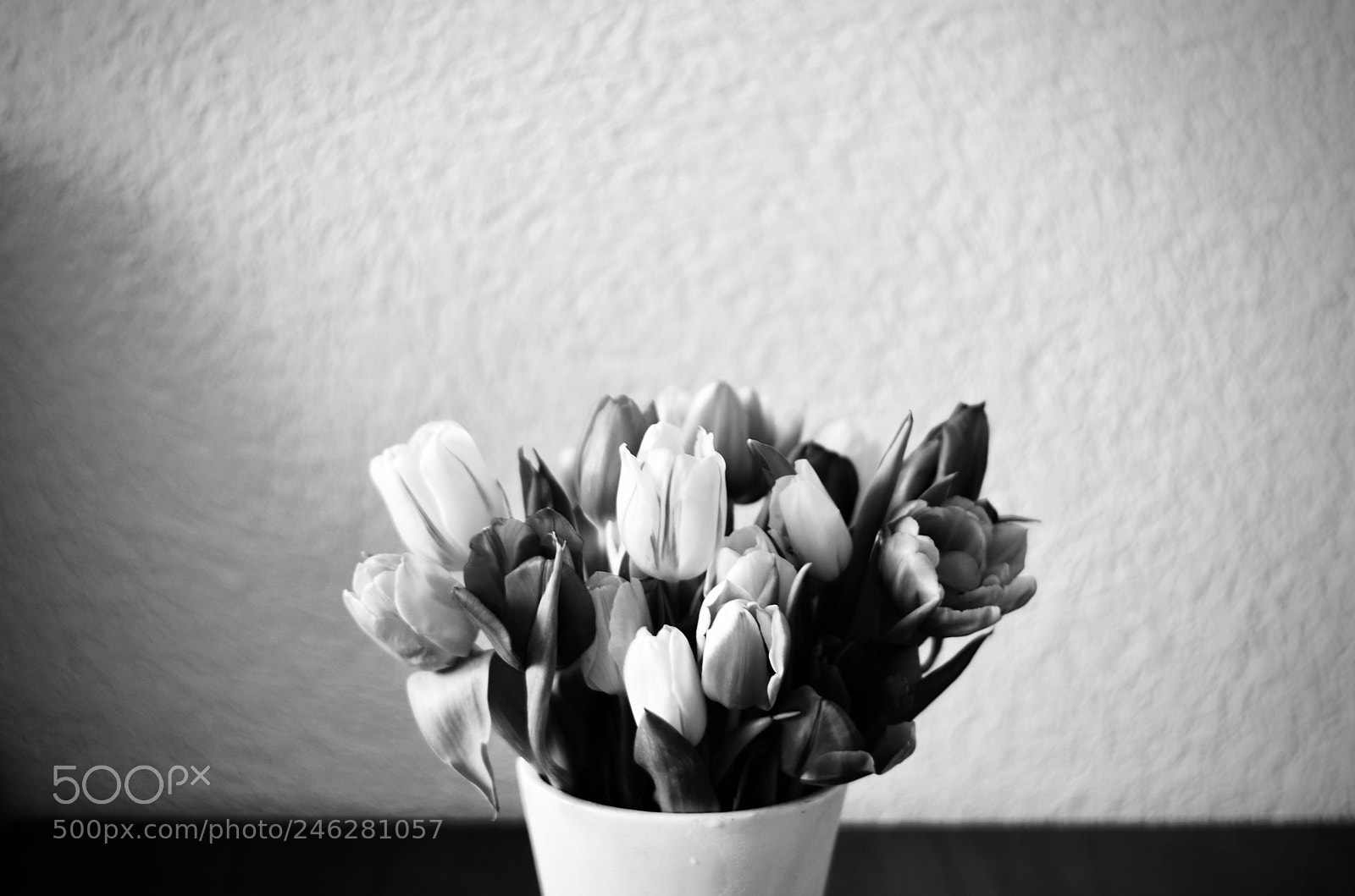 Nikon D5100 sample photo. Spring! photography