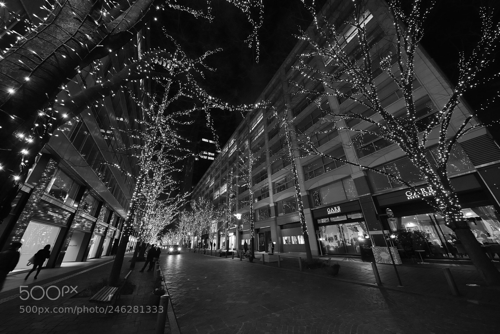 Pentax K-1 sample photo. Marunouchi naka dori photography