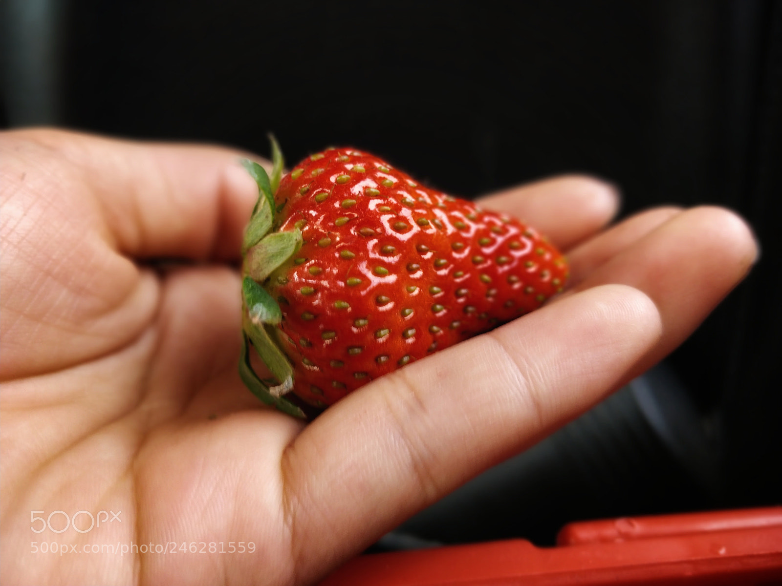 OnePlus 5T sample photo. Strawberry photography