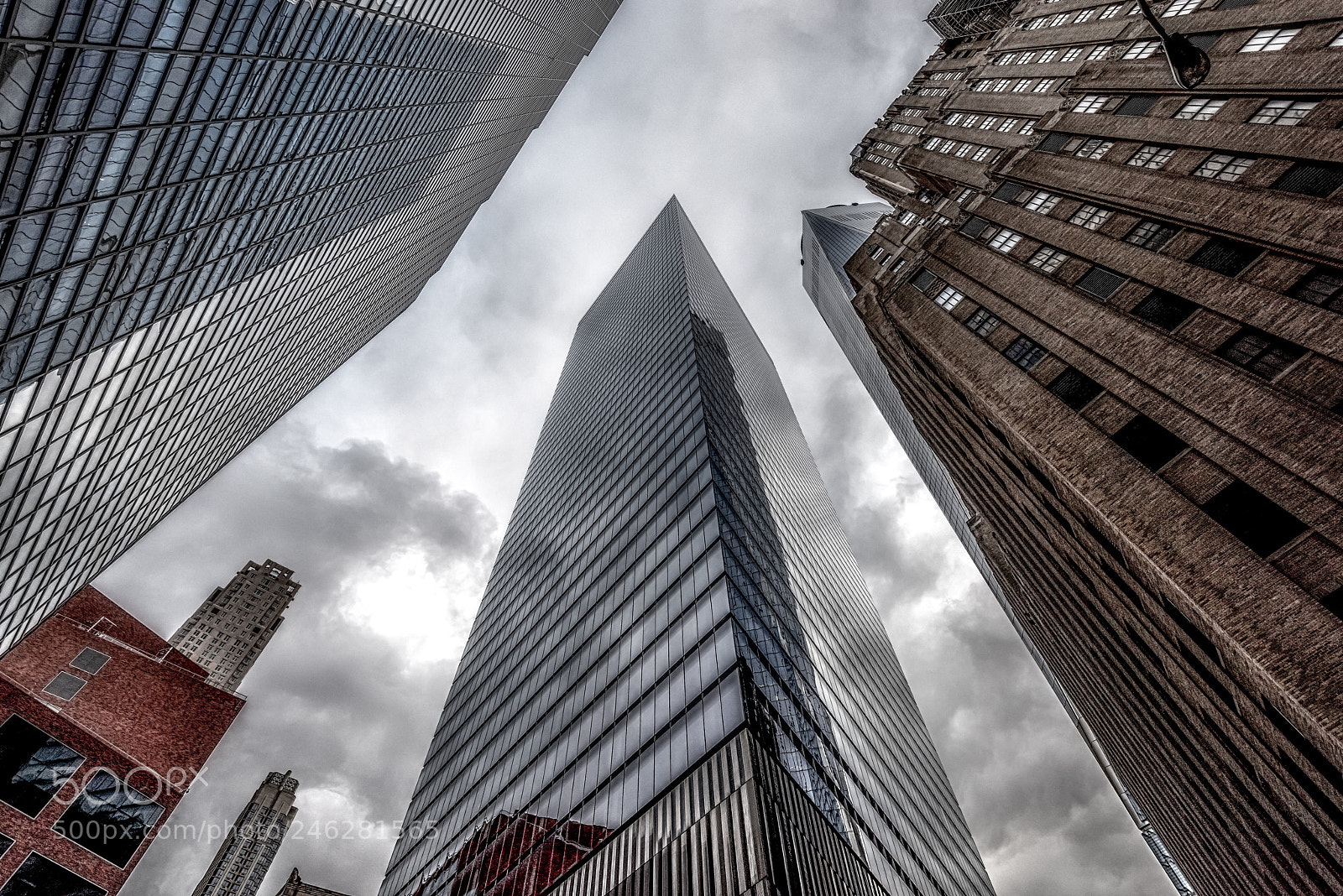 Nikon D810 sample photo. Reach for the sky photography