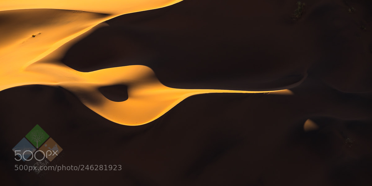 Fujifilm X-T2 sample photo. Golden fluid in desert photography